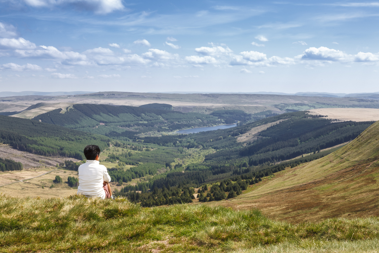 Investing – the skill in doing (almost) nothing
