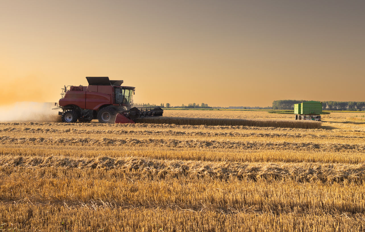 A super El Nino and fertiliser shock – are food markets at risk?