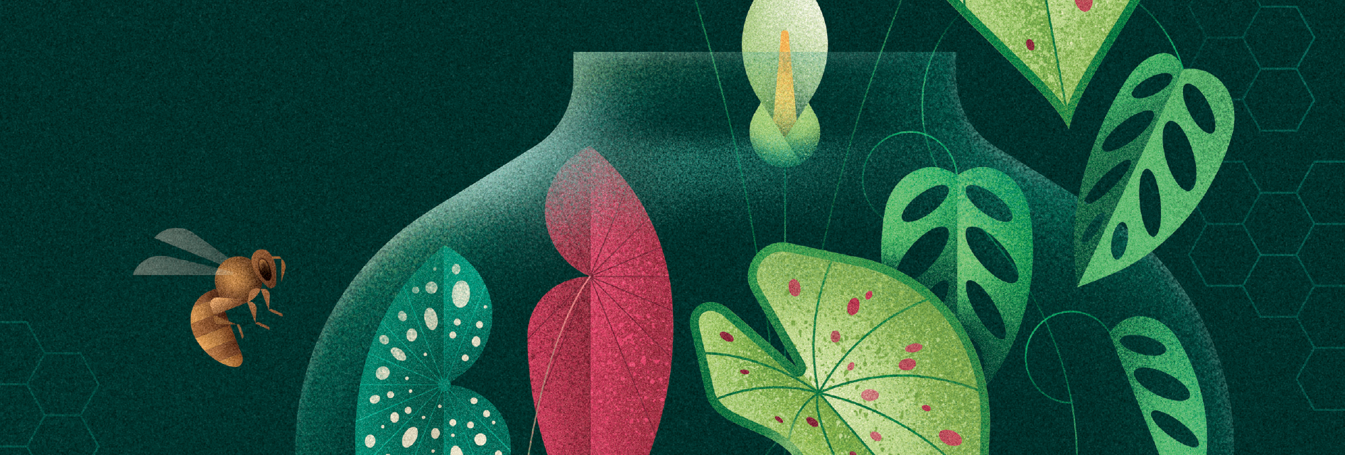 Women and wealth: A growing frontier